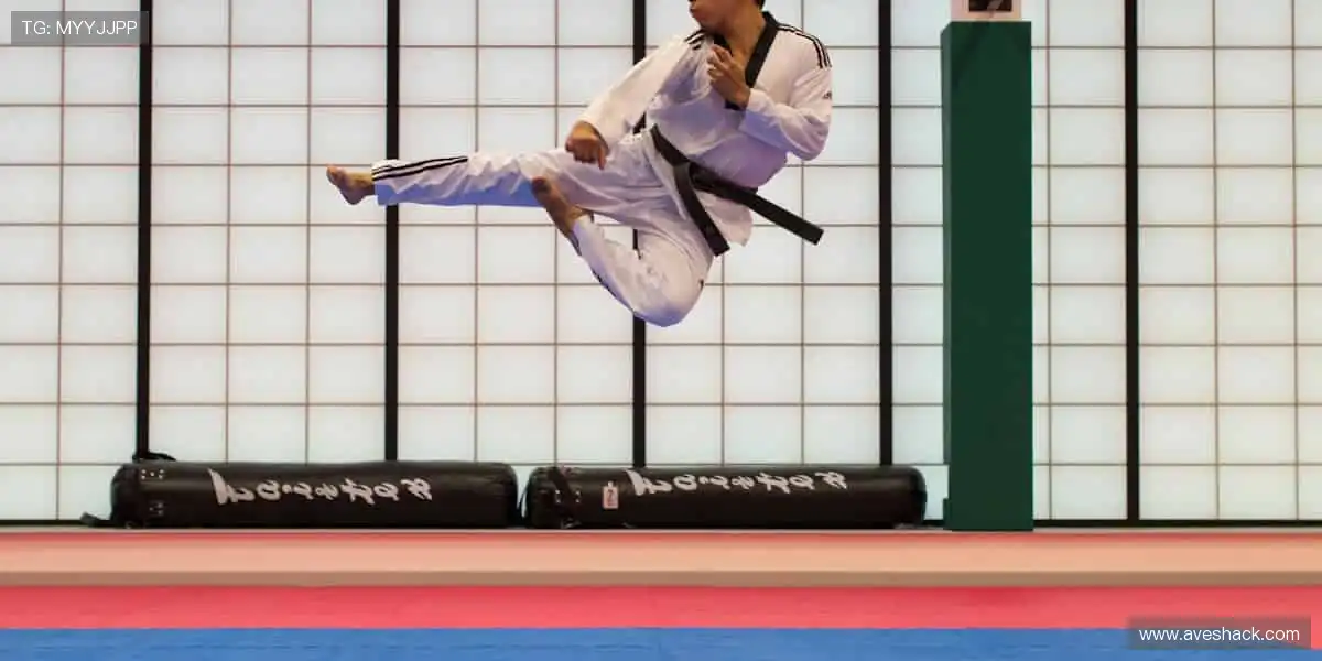 全景电子游戏空间：高清音效沉浸体验，让每一局都像在现场